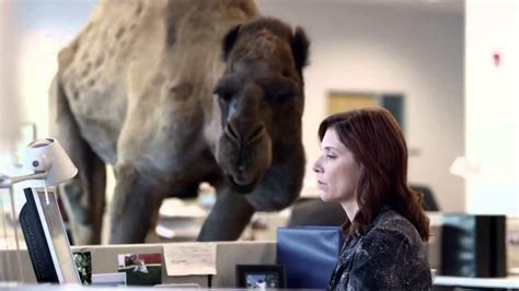 Redneck moving day | how to move a couch. Hump Day Camel Rmx "guess what day it is" - YouTube