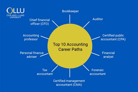 A Deep Dive Into The Accounting Career Path Mapping Success