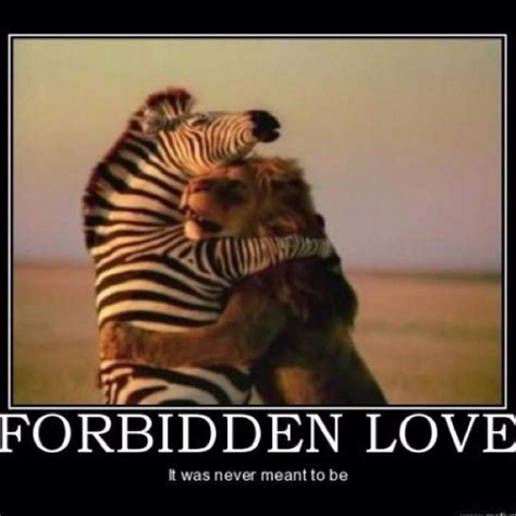 Haha Forbidden Love Funny Animal Pictures Funny Photos Funny