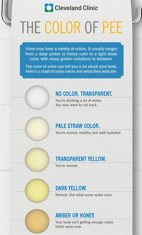 What Your PEE Says About Your Health A Clear Stream Means You Re