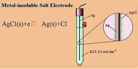 Metal Insoluble Salt Electrode In Half Cells Qs Study
