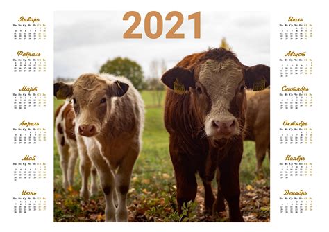2021 (mmxxi) is the current year, and is a common year starting on friday of the gregorian calendar, the 2021st year of the common era (ce) and anno domini (ad) designations. Календарь 2021 - год Быка распечатать