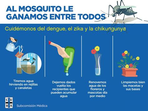 Dengue Chikungunya Y Zika Medidas De Prevención Cuba Club