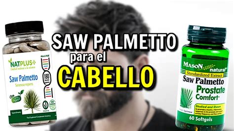 Saw Palmetto Para El Cabello Todos Los Beneficios Del Saw Palmetto YouTube