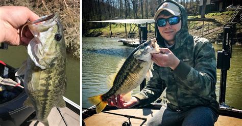 Check spelling or type a new query. Spotted Bass Fishing 101: Everything You Need To Know