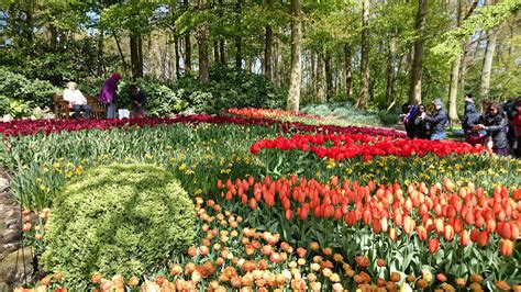 Keukenhof Flower Gardens Lisse Netherlands Visions Of Travel