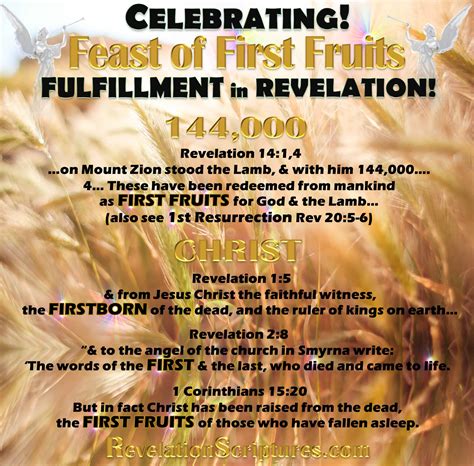 Celebrating The Feast Of First Fruits Fulfillment In The Book Of