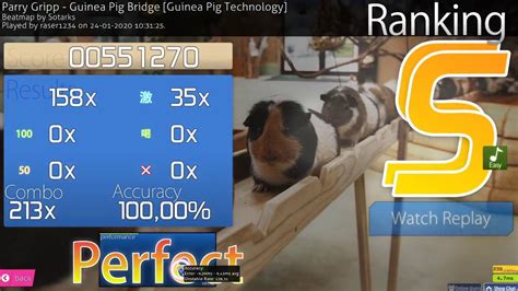Guinea Pig Bridge Youtube