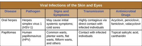163 Viral Infections Of The Skin And Eyes Allied Health Microbiology