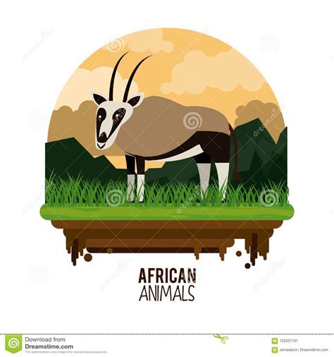 African Animals Cartoon Stock Vector Illustration Of Character 122557161