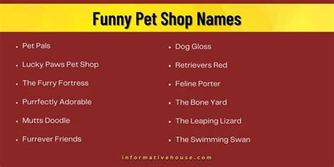 499 The Most Funny Little Pet Shop Names Ideas In 2023 Informative House