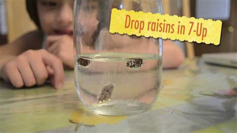 Dancing Raisins - 2nd grade science experiment - YouTube