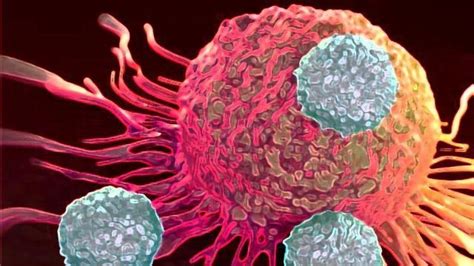 Precision Drugs Could Unmask Cancers To The Immune System Technology
