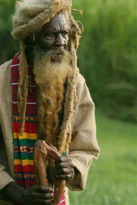 Elder Rastaman Rastafarian Culture Rasta Man Dreadlock Rasta