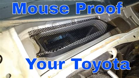 Replacing the cabin air filter (also know as the dust filter, hvac filter, pollen filter, air conditioner filter and hepa filter) will. How To Keep Mice Out Of Car Cabin Filter - Classic Car Walls