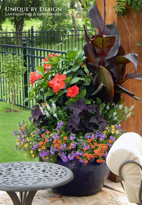 17 Best Images About Container Gardening Unique By Design