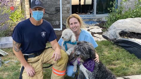 Dogs Safe After Accidently Causing Apartment Fire Ctv News