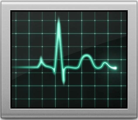 He doesn't have enough physical activity in his life. Improve Activity Monitor Reporting Speed in Mac OS X with ...