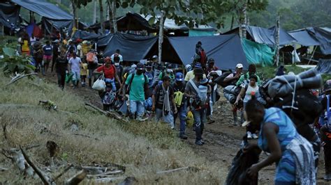 Más de 78 mil migrantes irregulares han pasado por la selva de Darién