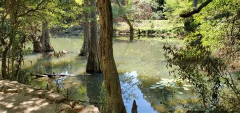 10 Best Hikes And Trails In Pinnacle Mountain State Park Alltrails