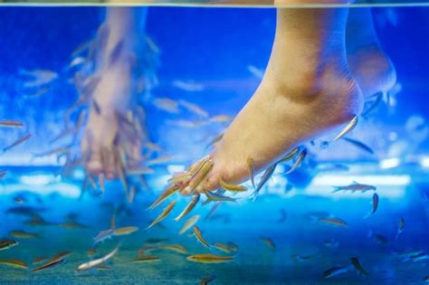 Premium Photo Foots In Fish Spa Pedicure Rufa Garra Treatment