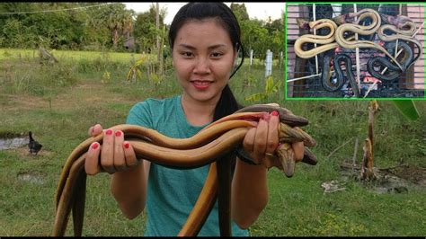 Wow Beautiful Girl Grill Eel For Dinner How To Cook Eel In Cambodia