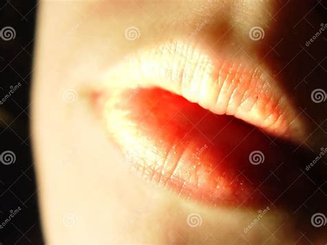 natural lips stock image image of detailed lipstick designs 2707
