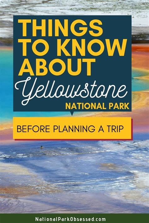 Planning A Trip To Yellowstone National Park And Dont Know Where To