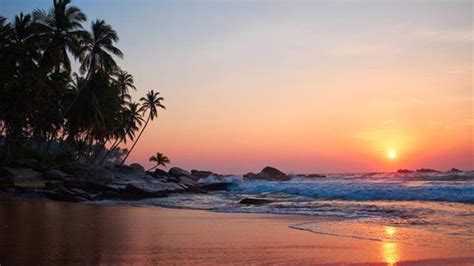 Goan Beaches Are Unsafe At Night Feel Indian Travellers