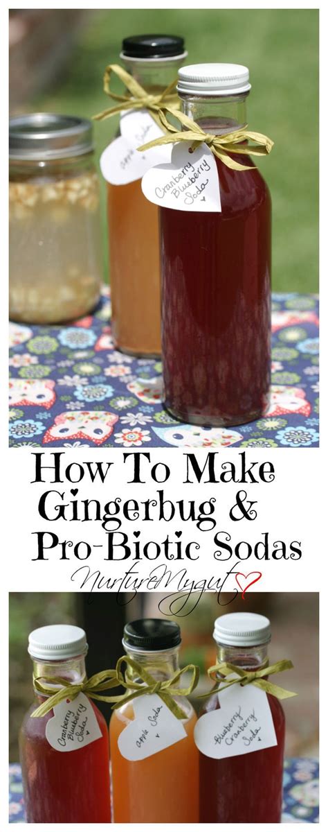 How To Make Gingerbug And Pro Biotic Sodas Make Your Own Delicious