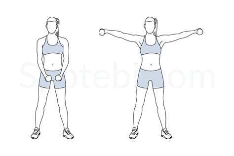 Dumbbell Lateral Raise Illustrated Exercise Guide Workout Guide