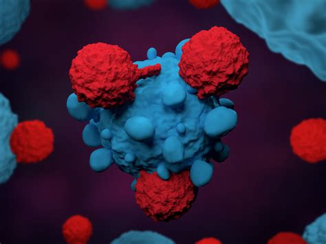 Scientists Neutralize Reactive Nitrogen Molecules To Enhance Cancer