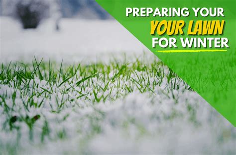 Preparing The Lawn For Winter Experigreen