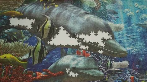 Featuring a vibrant aquatic scene. 3000 Piece Puzzle Time Lapse "Oceanic Wonders" - YouTube