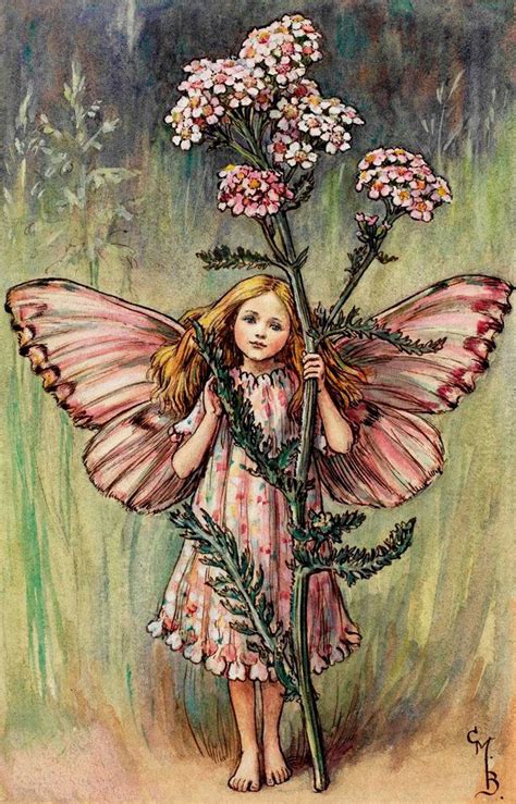 The Yarrow Fairy By Cecile Mary Baker Fairy Art Flower Fairies