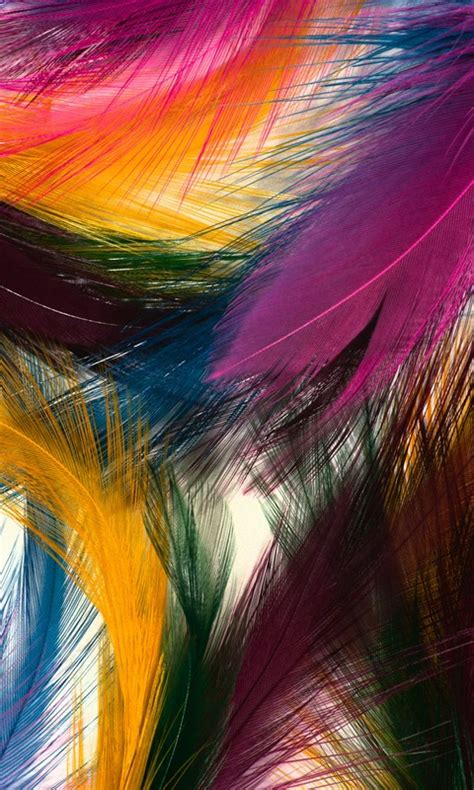 Colorful Feathers Mobile Phone Wallpaper 480 800 Hd