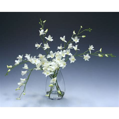 Waterlook® White Dendrobium Orchid In Angled Glass Vase Distinctive Designs