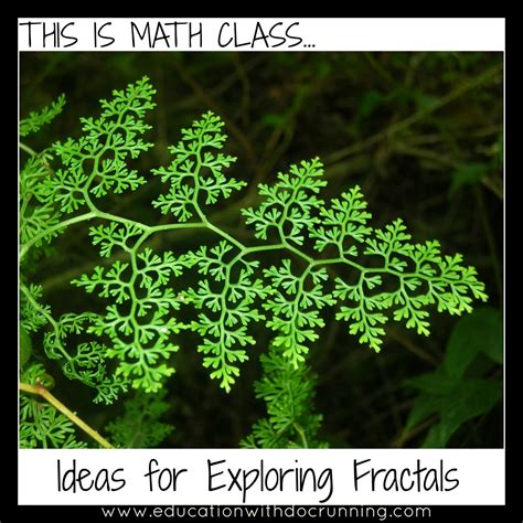 When Math And Art Meet Beautiful Fractals Are Discovered The Tpt Blog
