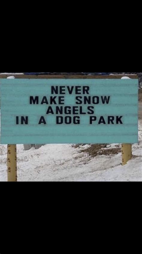 Never Do Snow Angels At A Dog Park Bones Funny Dog Park Funny Quotes