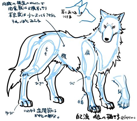 Ikusei skill wa mou iranai to yuusha party o kaiko sareta no de, taishoku kingawari ni moratta ryouchi o tsuyoku shitemiru; 自己流狼の描き方 1 | 動物のスケッチ, オオカミの絵, イラスト 狼