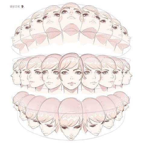 Anime Head Angles Reference Asoitoequinze Wallpaper