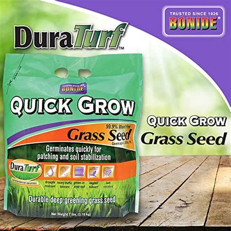 Top 14 Grow Anywhere Grass Seeds Of 2022 Reviews