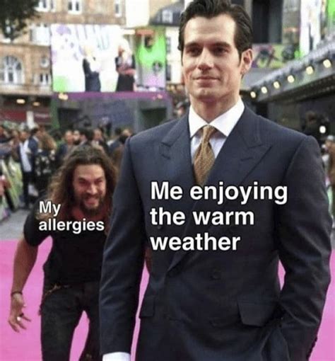 These Allergy Memes Are Perfect For Spring Spring Has Sprung Memes