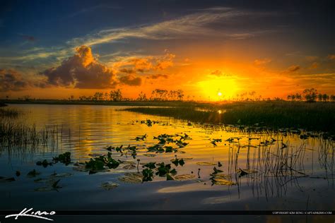 Florida Wetlands Sunset Along The River Hdr Photography By Captain Kimo