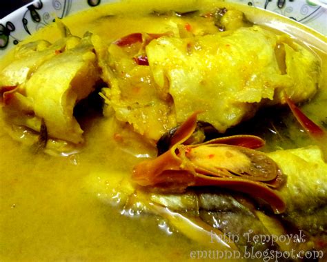 Ikan patin segar dari sungai pahang, di masak tempoyak stail orang temerloh. Sampai akhirnyer: PATIN MASAK TEMPOYAK TEMERLOH
