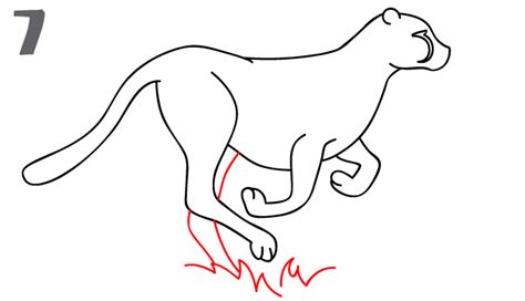 Here you can explore hq cheetah drawing transparent illustrations, icons and clipart with filter setting like size, type, color etc. How To Draw a Cheetah - Step-by-Step