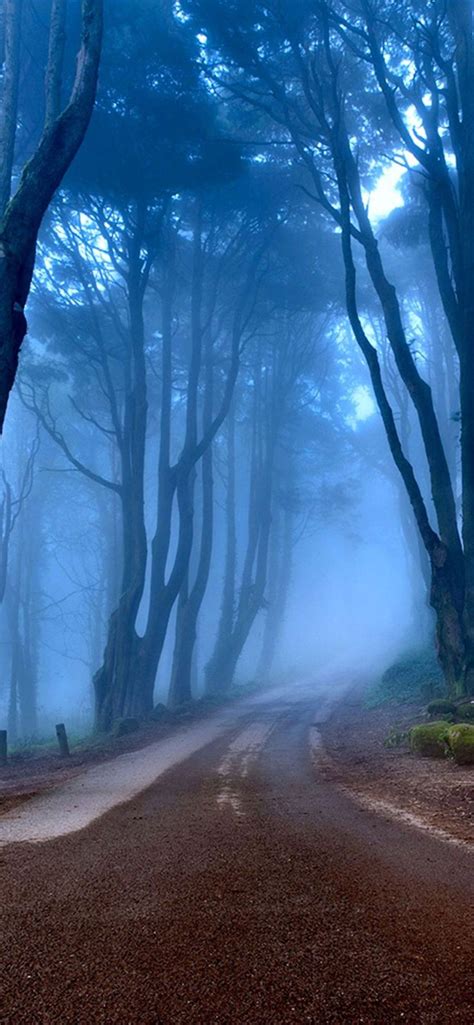 20 4K iPhone Wallpapers | Nature photos, Forest wallpaper ...