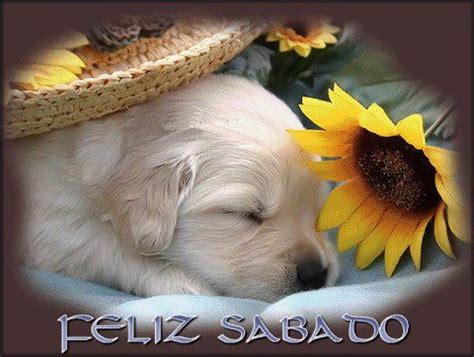 Feliz is a municipality in the brazilian state of rio grande do sul. Imágenes con Frases, Fotos y Gifs Animados desear un Feliz ...