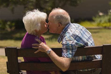 Senior Couple Kissing Each Other In The Park Stock Image Image Of