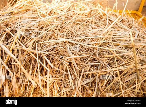 Straw Background Texture Stock Photo Alamy